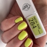 NEON BASE Gel in 5 different colors available 8-15 ml from Trendy Nails