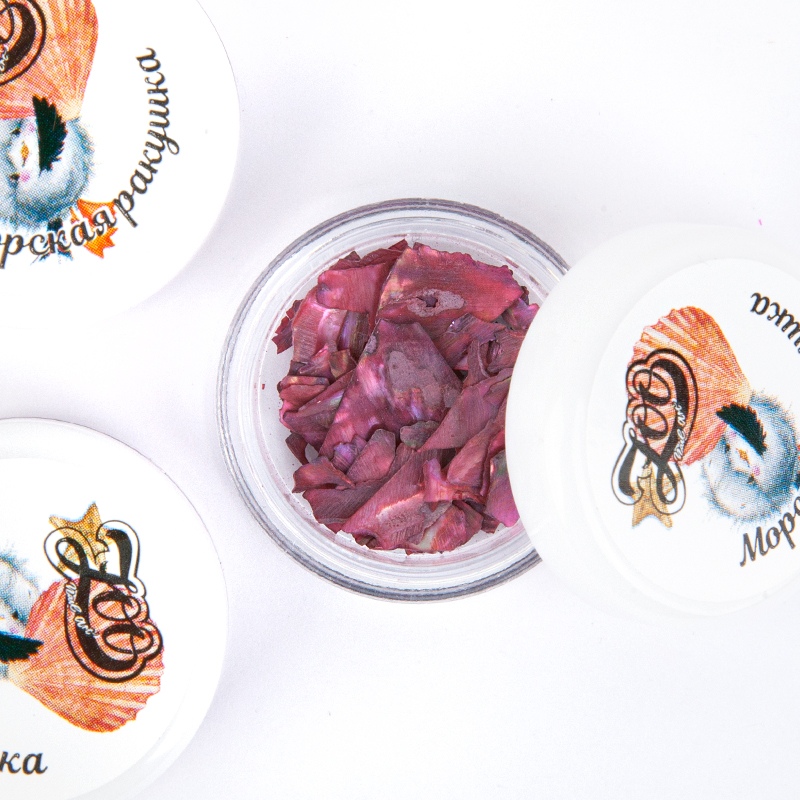 Muscheln Mix mit perlmutt Effekt in verschiedenen Farben von ZOO Nail 0,2g