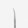 Professional cuticle scissors SX-22/2 STALEKS PRO EXCLUSIVE