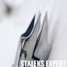 Professional nippers for ingrown nails NE-61 STALEKS EXPERT