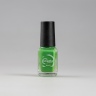 Stamping nail polish   Nr. S48 green from Swanky 6ml